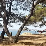 Asea * Zadar
