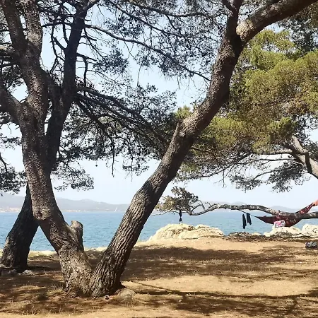 Asea * Zadar