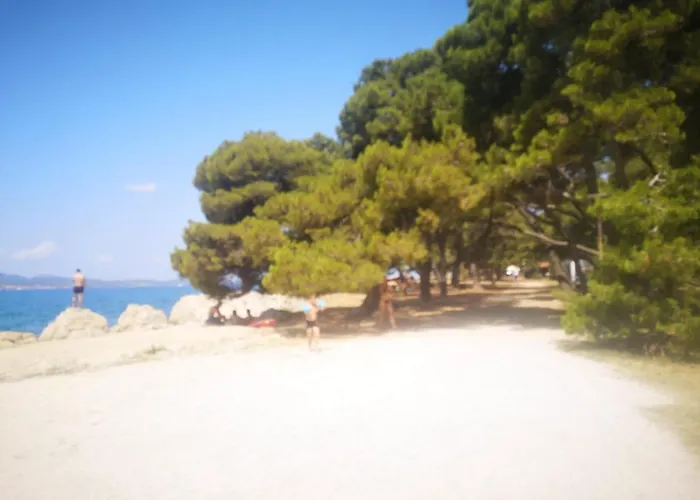 Apartment Asea Zadar